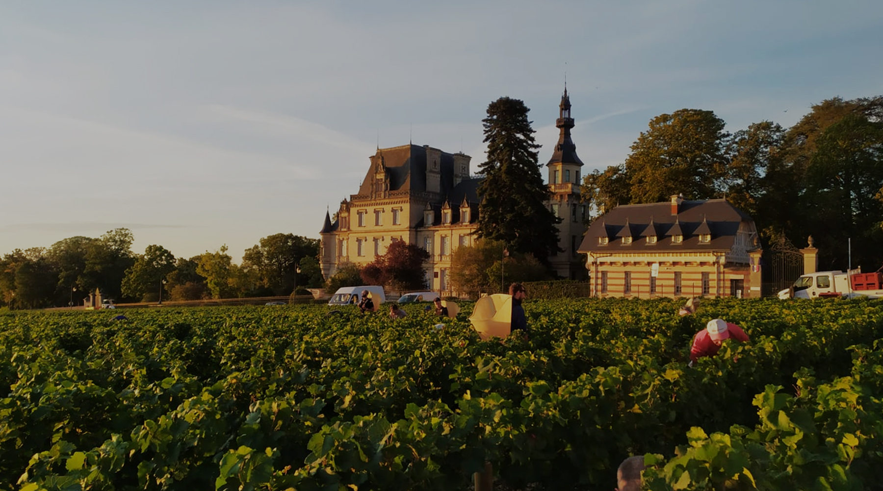 Domaine PERNOT Père Fils est un domaine de bourgogne situé sur le